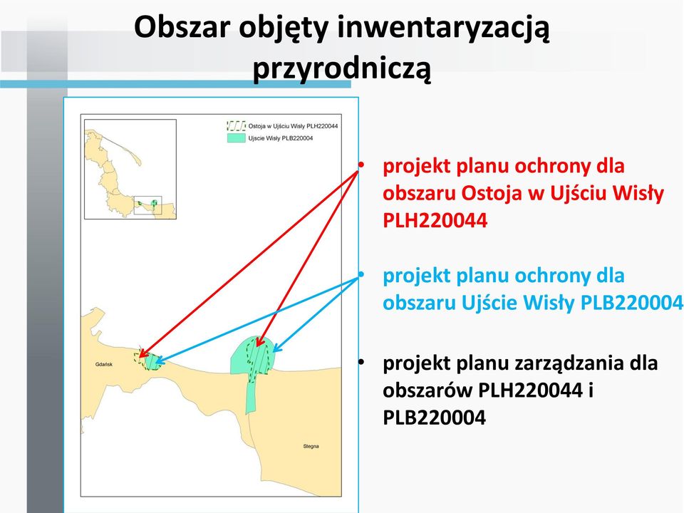 projekt planu ochrony dla obszaru Ujście Wisły PLB220004