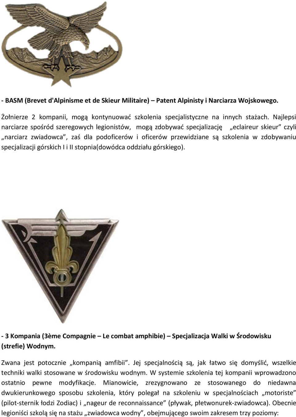 specjalizacji górskich I i II stopnia(dowódca oddziału górskiego). - 3 Kompania (3ème Compagnie Le combat amphibie) Specjalizacja Walki w Środowisku (strefie) Wodnym.