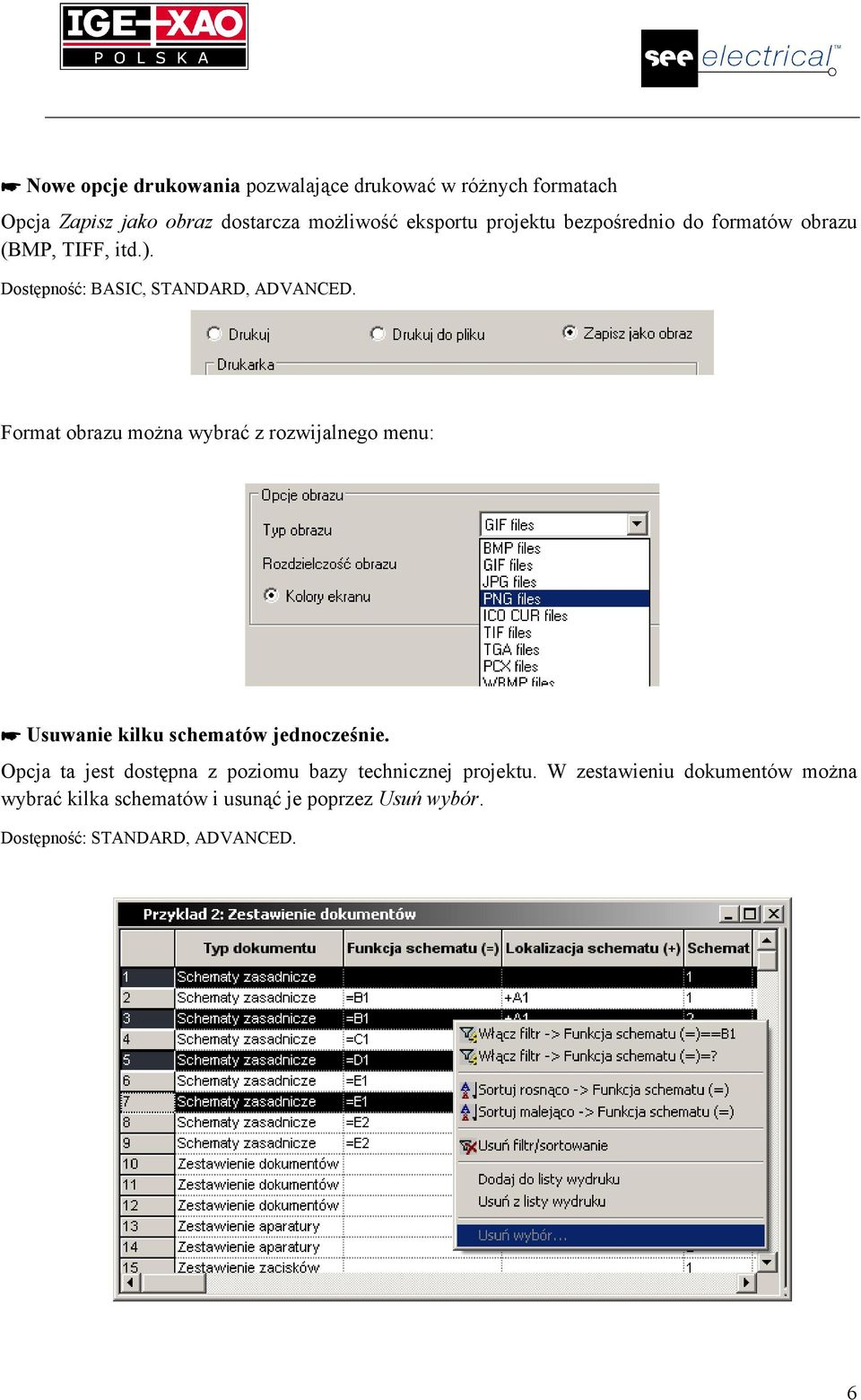 Format obrazu można wybrać z rozwijalnego menu: Usuwanie kilku schematów jednocześnie.