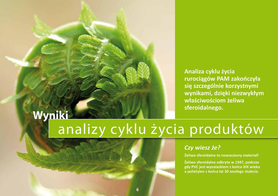 Wyniki analizy cyklu życia produktów Czy wiesz że?