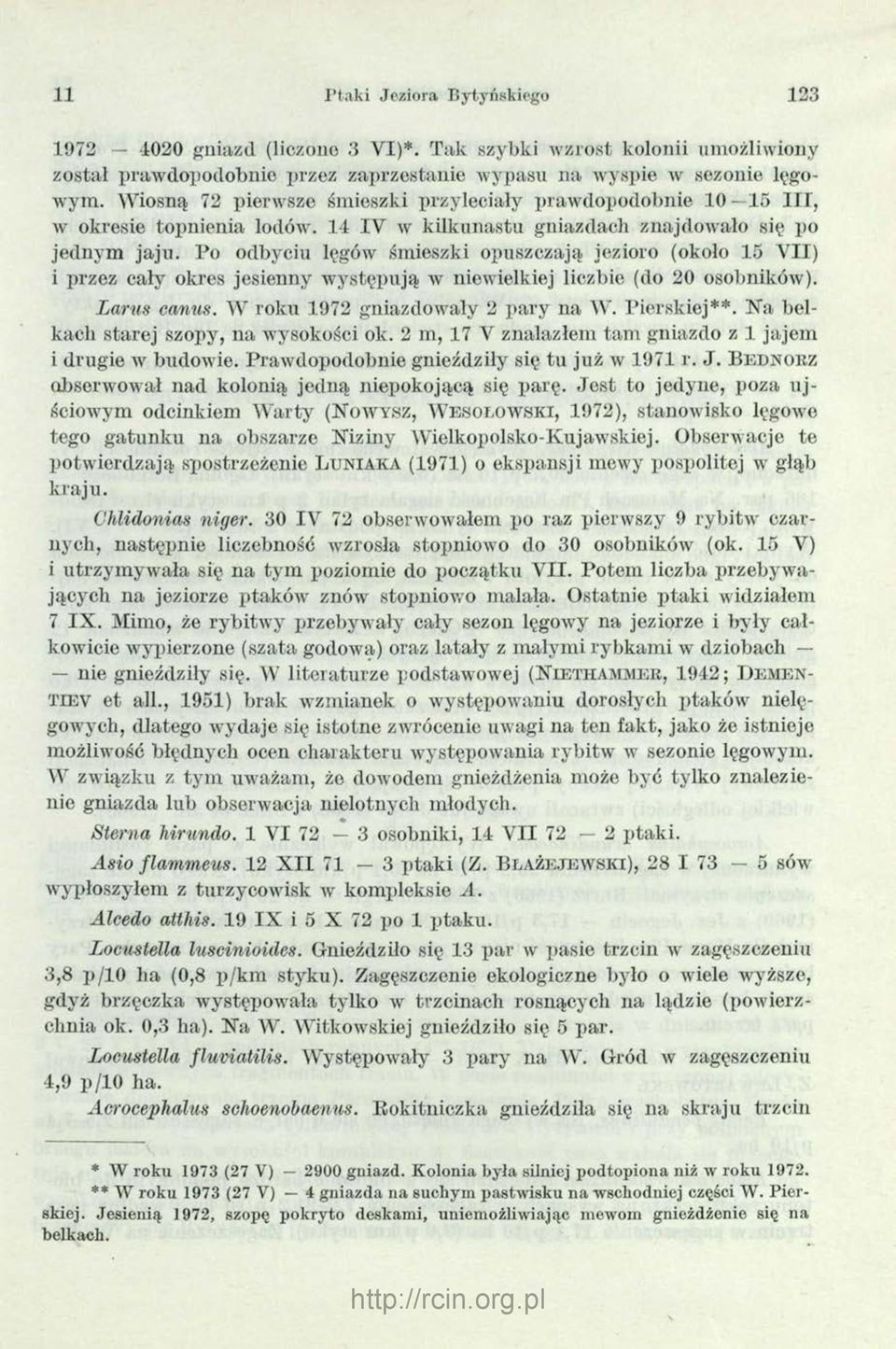 Po odbyciu lęgów śmieszki opuszczają jezioro (około 15 VII) i przez cały okres jesienny występują w niewielkiej liczbie (do 20 osobników). Larus canus. W roku 1972 gniazdowały 2 pary na W.
