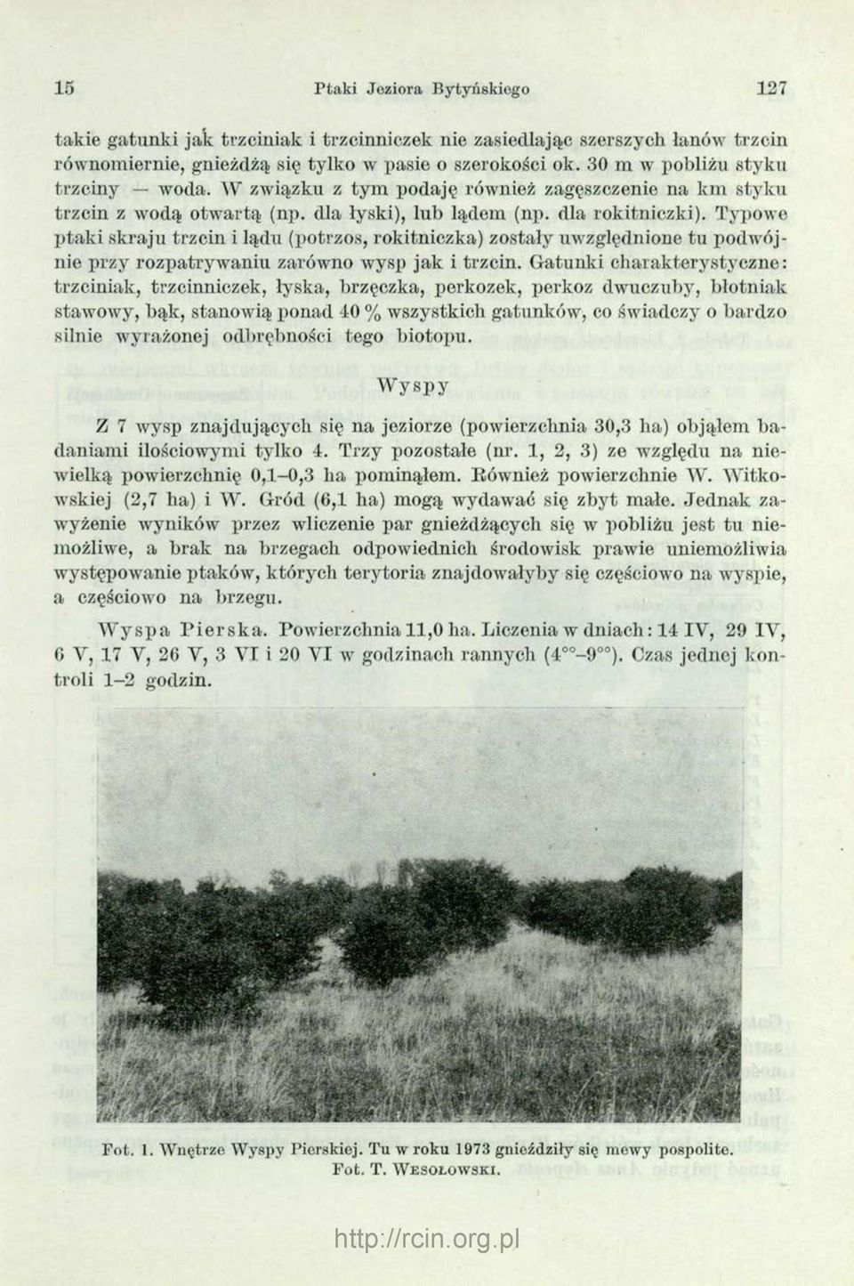 Typowe ptaki skraju trzcin i lądu (potrzos, rokitniczka) zostały uwzględnione tu podwójnie przy rozpatrywaniu zarówno wysp jak i trzcin.