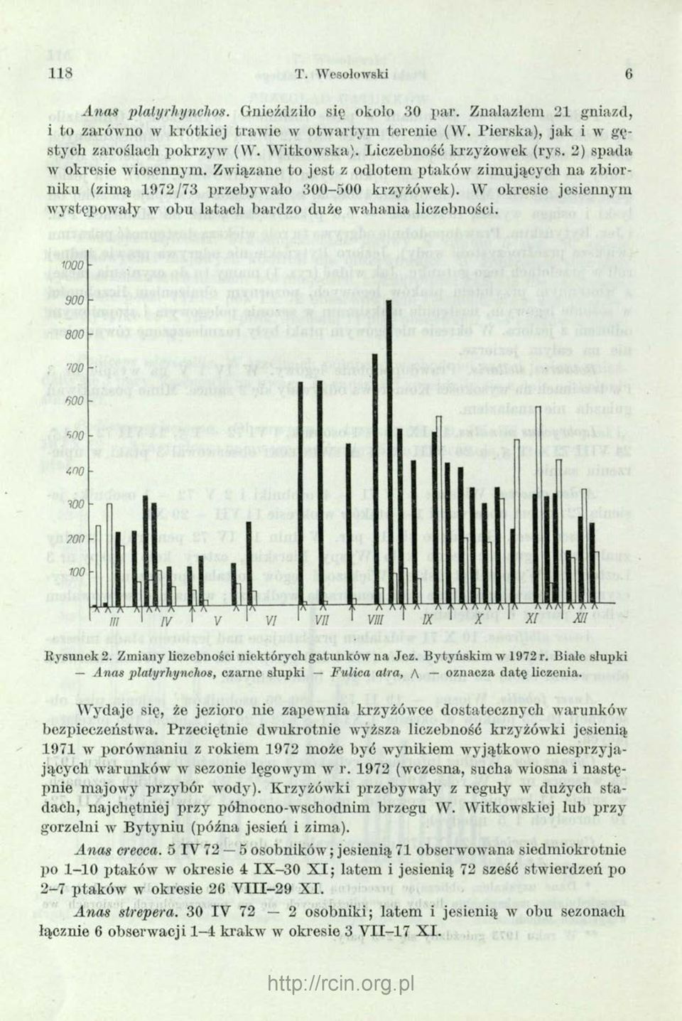W okresie jesiennym występowały w obu latach bardzo duże wahania liczebności. w o o - 900-800 - Rysunek 2. Zmiany liczebności niektórych gatunków na Joz. Bytyńskim w 1972 r.