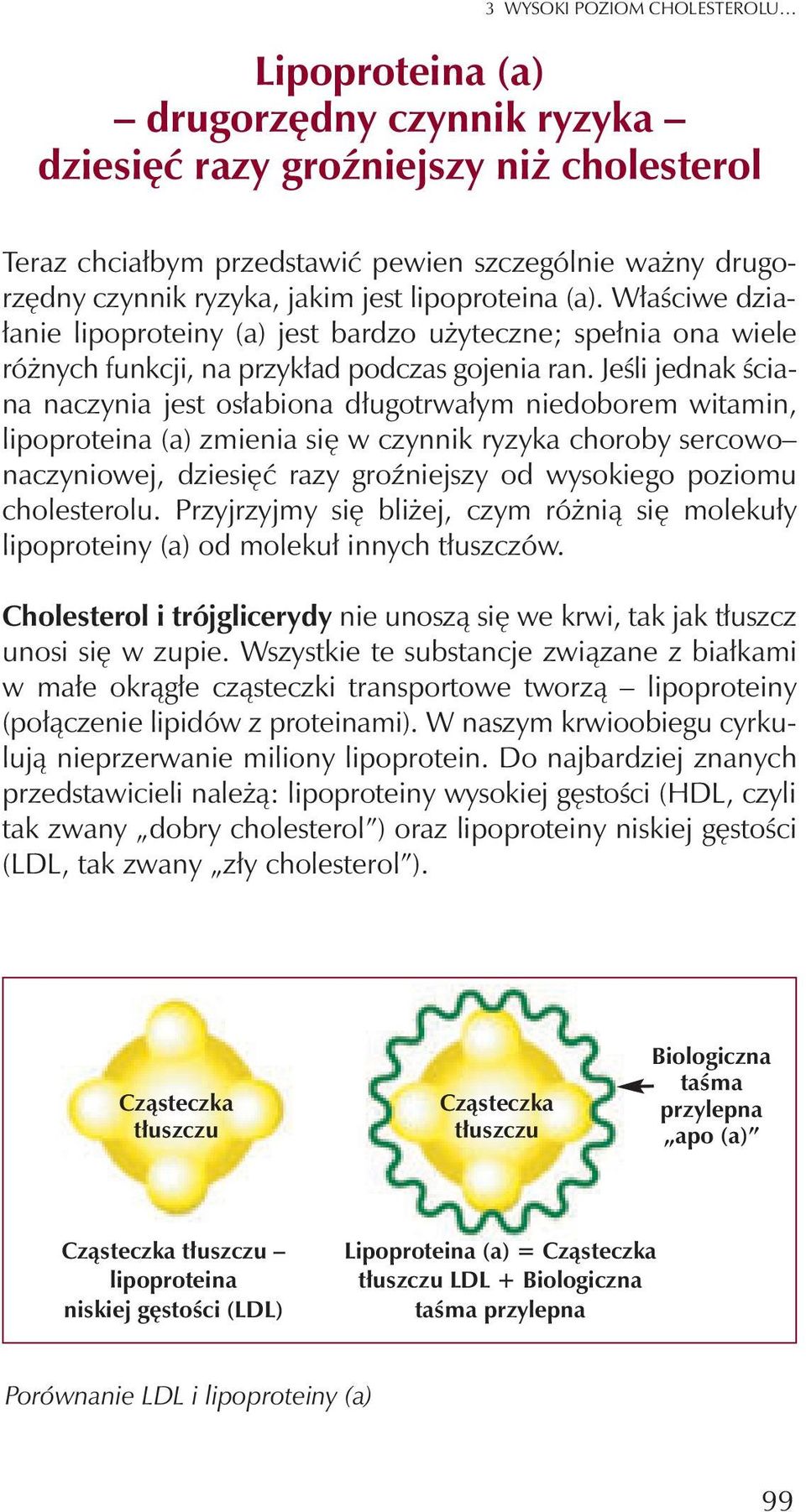 Jeœli jednak œciana naczynia jest os³abiona d³ugotrwa³ym niedoborem witamin, lipoproteina (a) zmienia siê w czynnik ryzyka choroby sercowo naczyniowej, dziesiêæ razy groÿniejszy od wysokiego poziomu