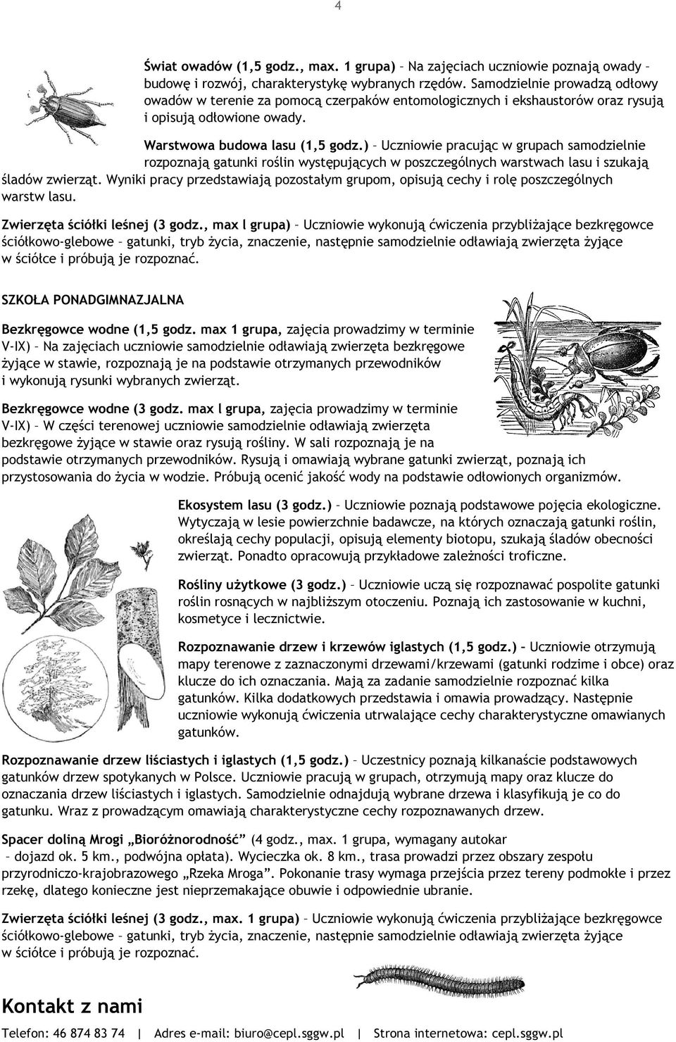 ) Uczniowie pracując w grupach samodzielnie rozpoznają gatunki roślin występujących w poszczególnych warstwach lasu i szukają śladów zwierząt.