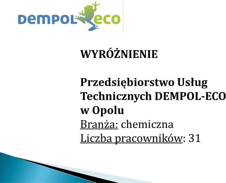 Technicznych DEMPOL-ECO w