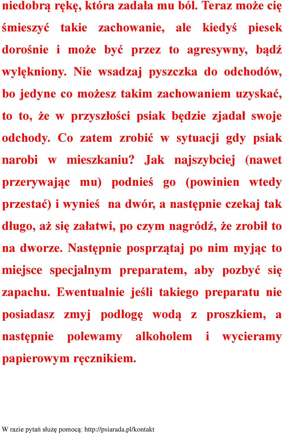 Co zatem zrobić w sytuacji gdy psiak narobi w mieszkaniu?