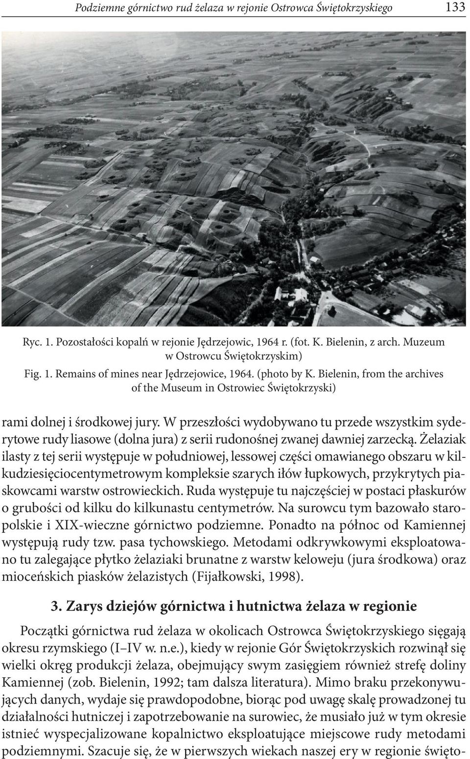 W przeszłości wydobywano tu przede wszystkim syderytowe rudy liasowe (dolna jura) z serii rudonośnej zwanej dawniej zarzecką.