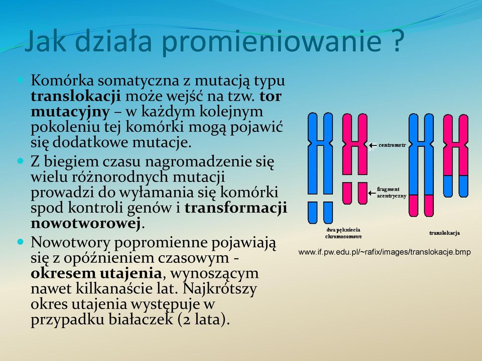 Z biegiem czasu nagromadzenie się wielu różnorodnych mutacji prowadzi do wyłamania się komórki spod kontroli genów i transformacji