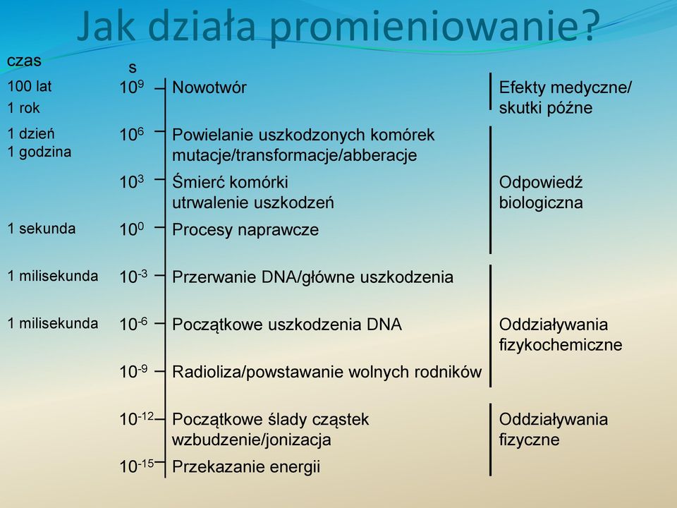 utrwalenie uszkodzeń 1 sekunda 10 0 Procesy naprawcze Odpowiedź biologiczna 1 milisekunda 10-3 Przerwanie DNA/główne uszkodzenia 1
