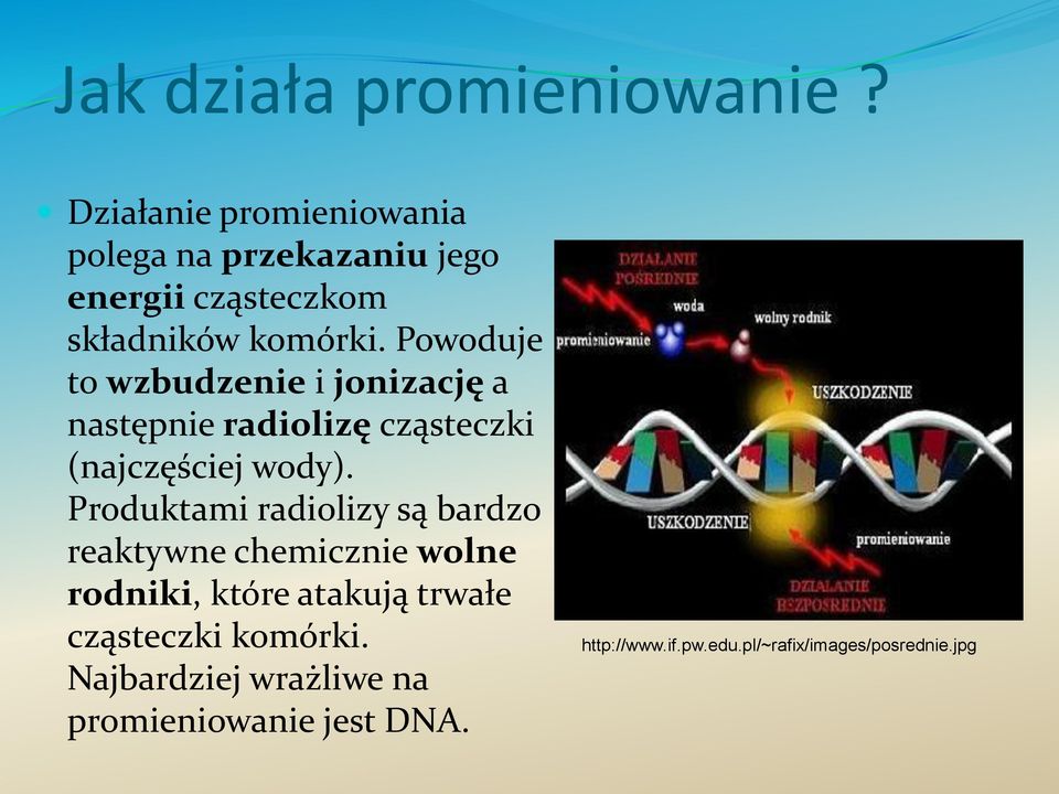 Powoduje to wzbudzenie i jonizację a następnie radiolizę cząsteczki (najczęściej wody).