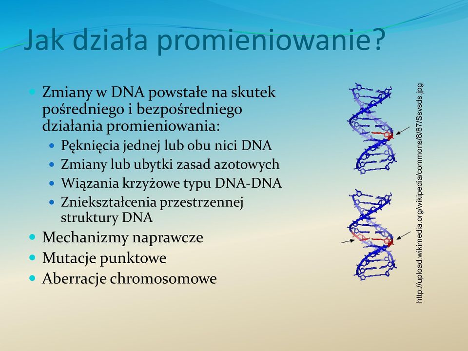 Pęknięcia jednej lub obu nici DNA Zmiany lub ubytki zasad azotowych Wiązania krzyżowe typu