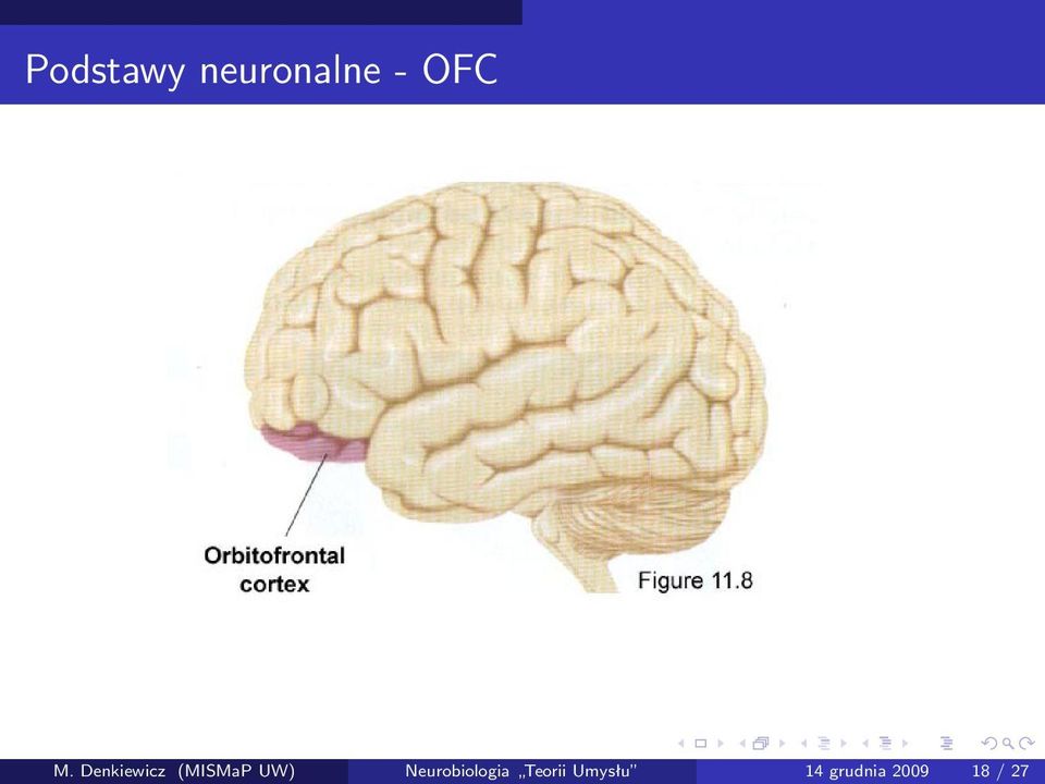 Neurobiologia Teorii