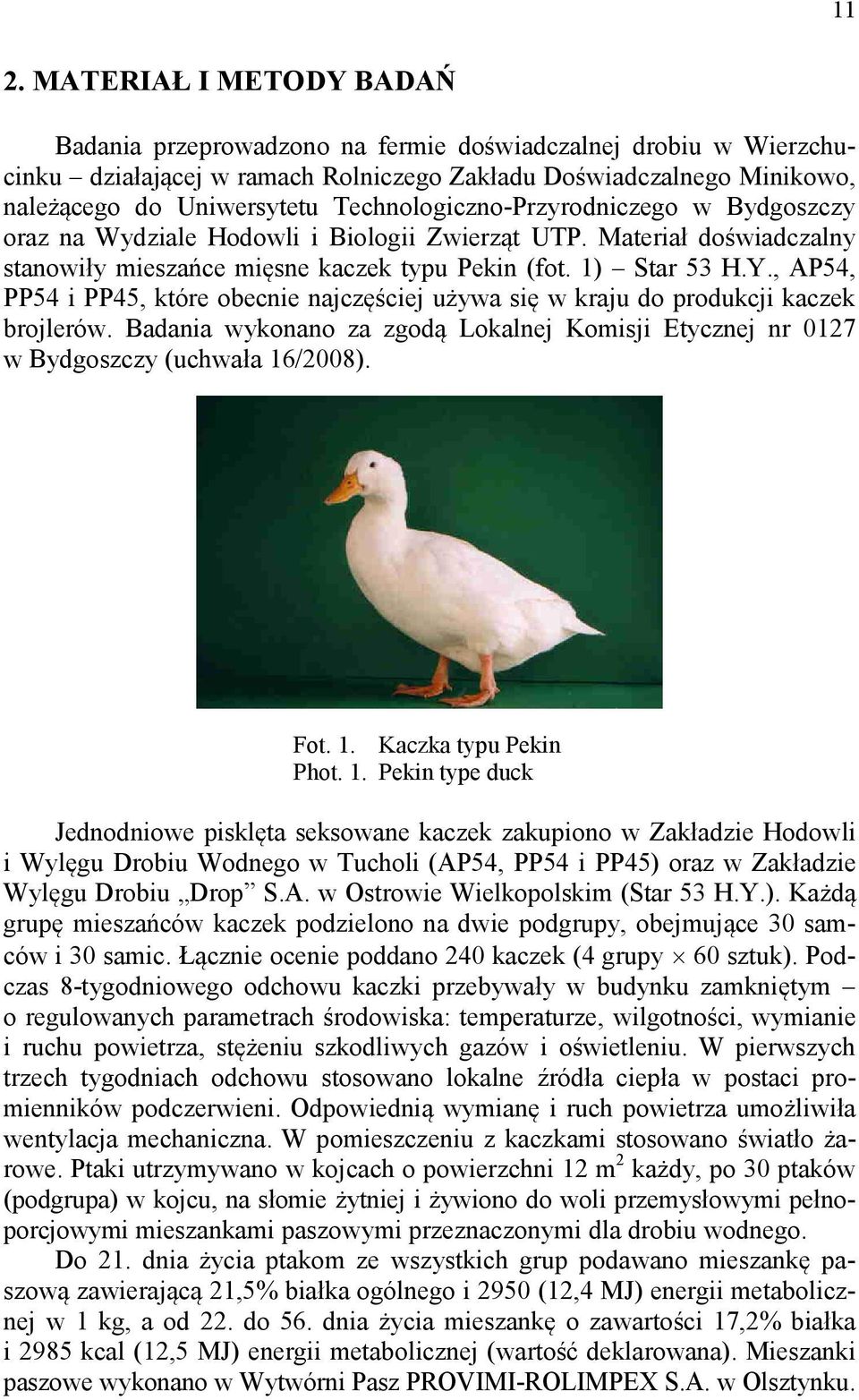 , AP54, PP54 i PP45, które obecnie najczęściej używa się w kraju do produkcji kaczek brojlerów. Badania wykonano za zgodą Lokalnej Komisji Etycznej nr 0127 w Bydgoszczy (uchwała 16