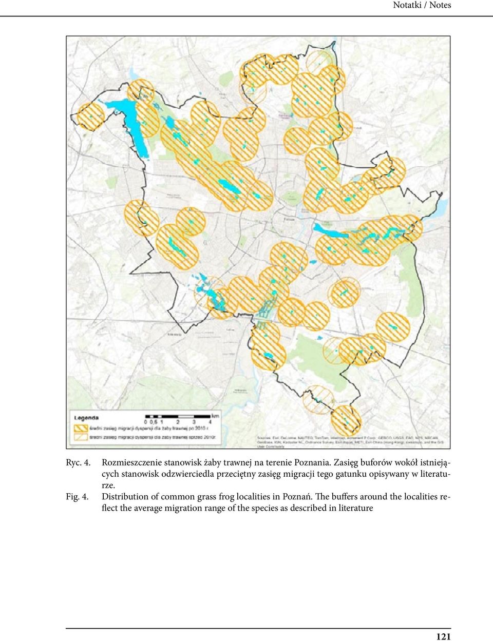 gatunku opisywany w literaturze. Distribution of common grass frog localities in Poznań.