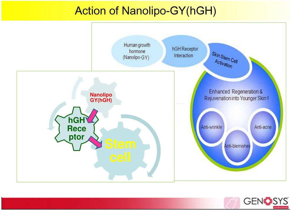 Nanolipo GY(hGH)