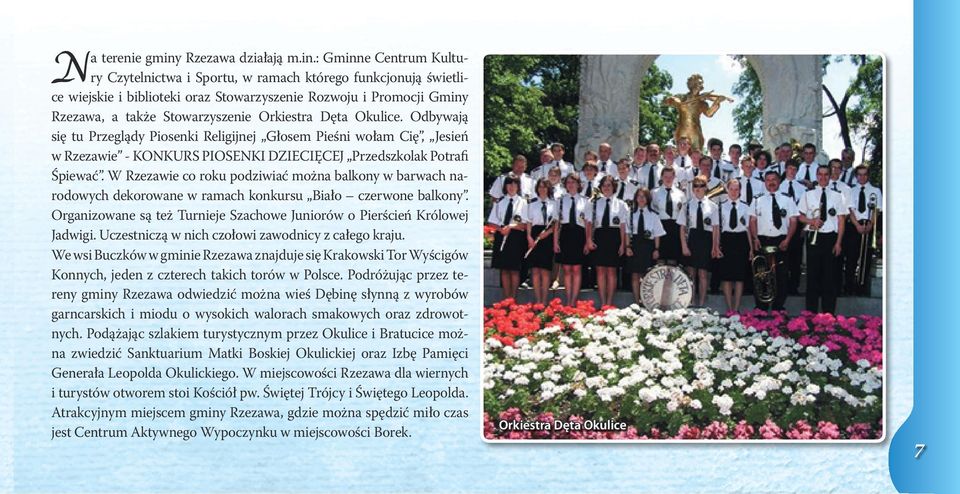 : Gminne Centrum Kultury Czytelnictwa i Sportu, w ramach którego funkcjonują świetlice wiejskie i biblioteki oraz Stowarzyszenie Rozwoju i Promocji Gminy Rzezawa, a także Stowarzyszenie Orkiestra