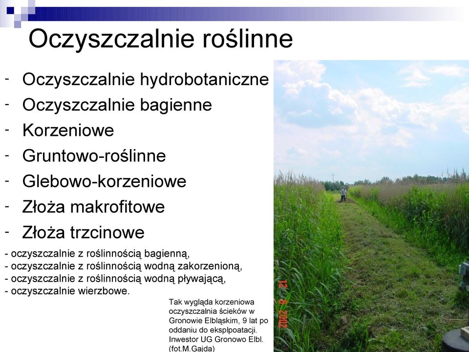 roślinnością wodną zakorzenioną, - oczyszczalnie z roślinnością wodną pływającą, - oczyszczalnie wierzbowe.