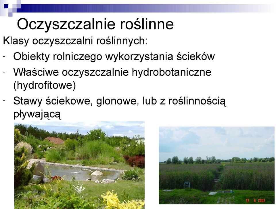 ścieków - Właściwe oczyszczalnie hydrobotaniczne