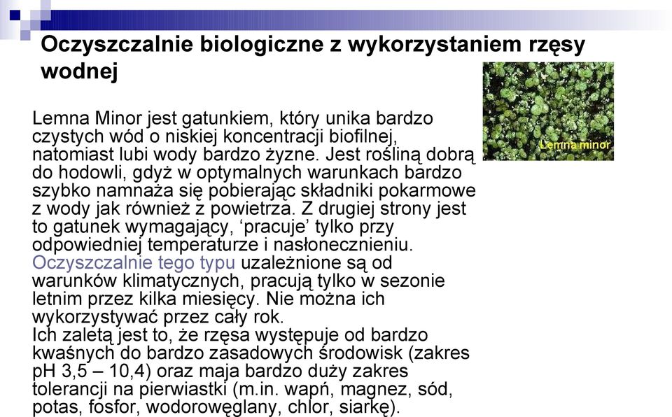 Z drugiej strony jest to gatunek wymagający, pracuje tylko przy odpowiedniej temperaturze i nasłonecznieniu.