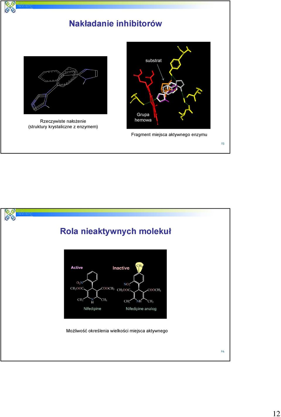 Fragment miejsca aktywnego enzymu 23 Rola nieaktywnych