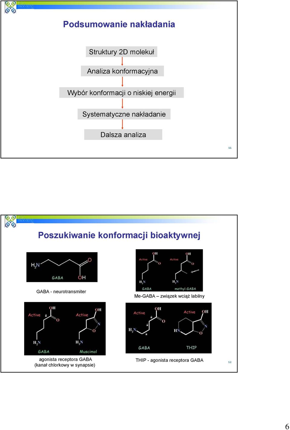 Poszukiwanie konformacji bioaktywnej GABA - neurotransmiter Me-GABA związek