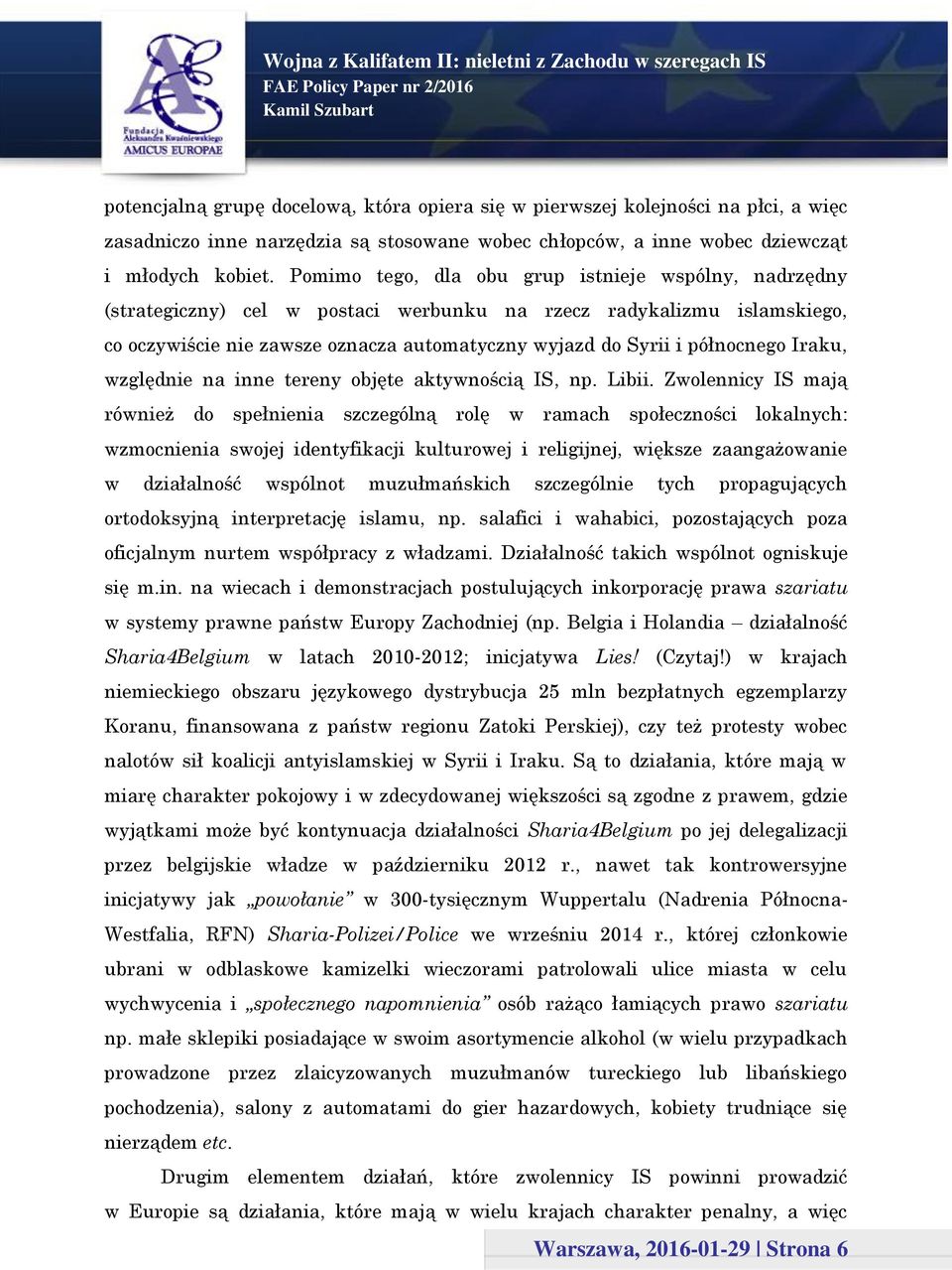 północnego Iraku, względnie na inne tereny objęte aktywnością IS, np. Libii.