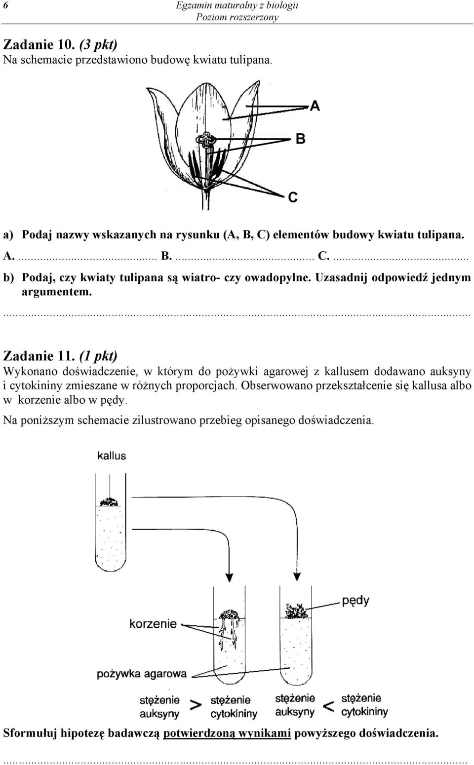 Uzasadnij odpowiedź jednym argumentem. Zadanie 11.