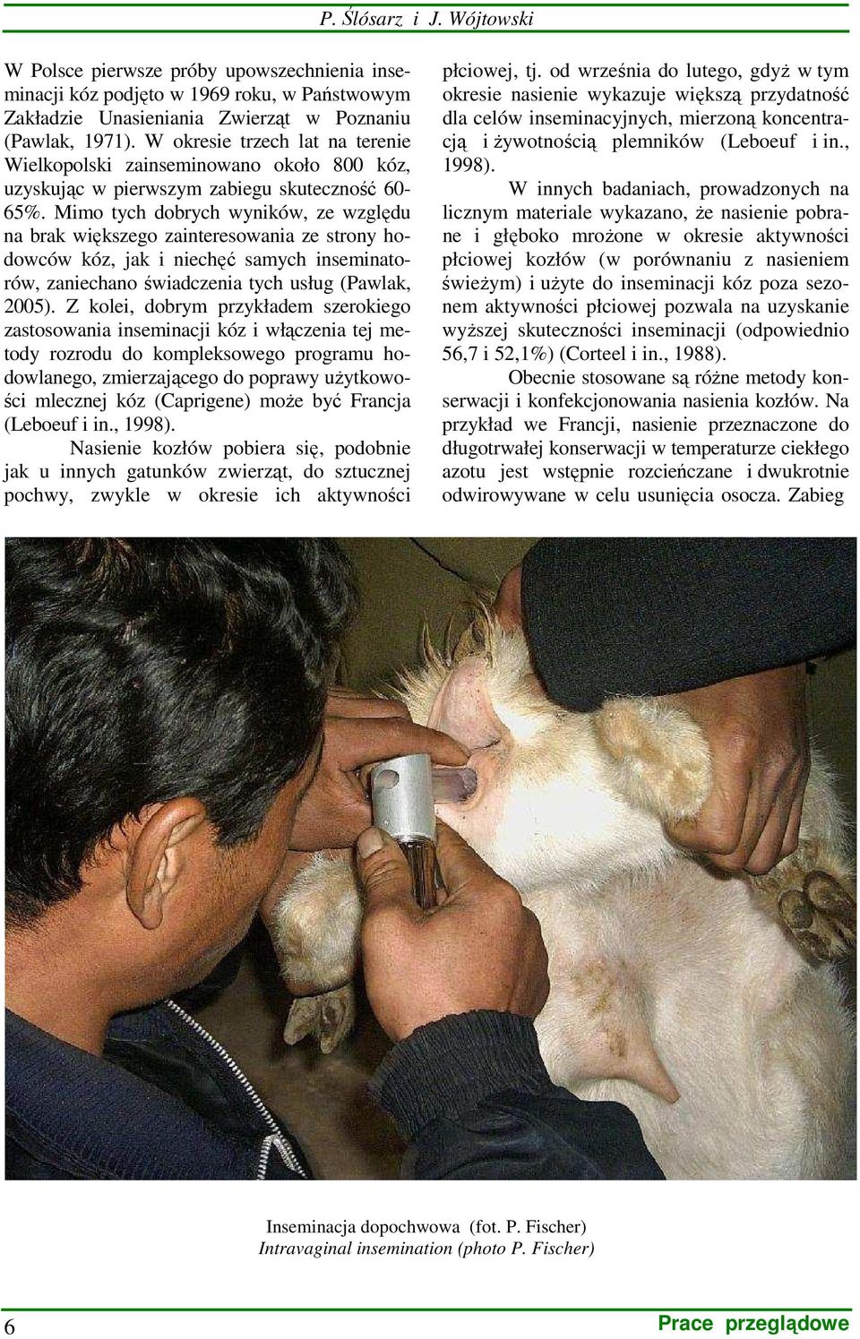 Mimo tych dobrych wyników, ze względu na brak większego zainteresowania ze strony hodowców kóz, jak i niechęć samych inseminatorów, zaniechano świadczenia tych usług (Pawlak, 2005).