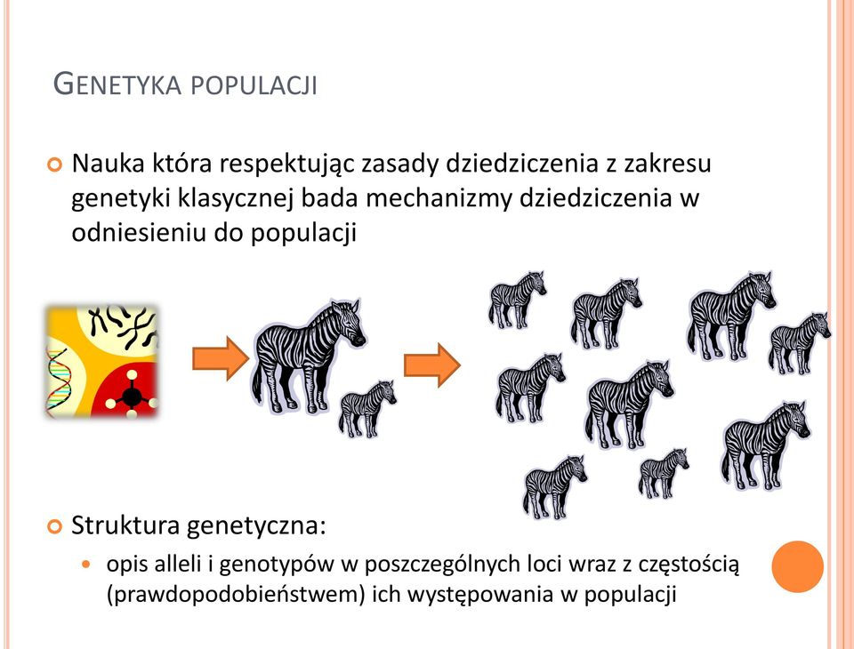 do populacji Struktura genetyczna: opis alleli i genotypów w