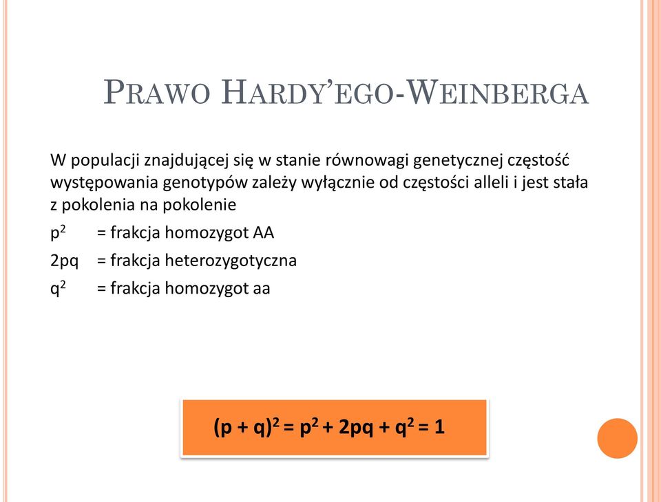 alleli i jest stała z pokolenia na pokolenie p 2 2pq q 2 = frakcja homozygot