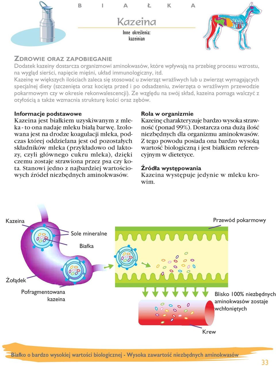 pokarmowym czy w okresie rekonwalescencji). Ze wzgl du na swój sk ad, kazeina pomaga walczyç z oty oêcià a tak e wzmacnia struktur koêci oraz z bów.