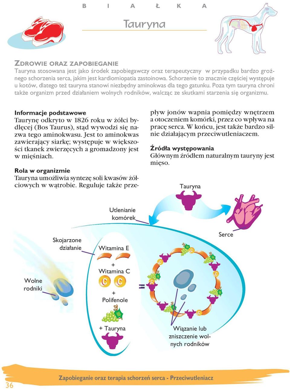 Poza tym tauryna chroni tak e organizm przed dzia aniem wolnych rodników, walczàc ze skutkami starzenia si organizmu.