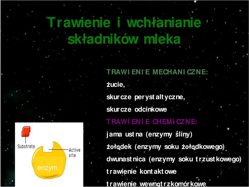 ustna (enzymy liny) dek (enzymy soku dkowego) enzym dwunastnica