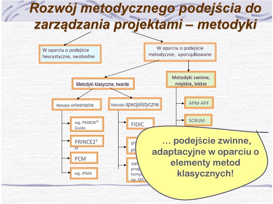 PMBOK Guide PRINCE2 T M PCM wg. IPMA FIDIC ujęte w formie programu komputerowego, np.