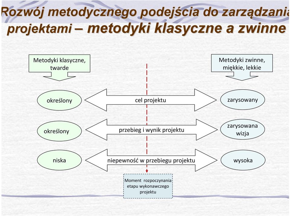 projektu zarysowany określony przebieg i wynik projektu zarysowana wizja niska