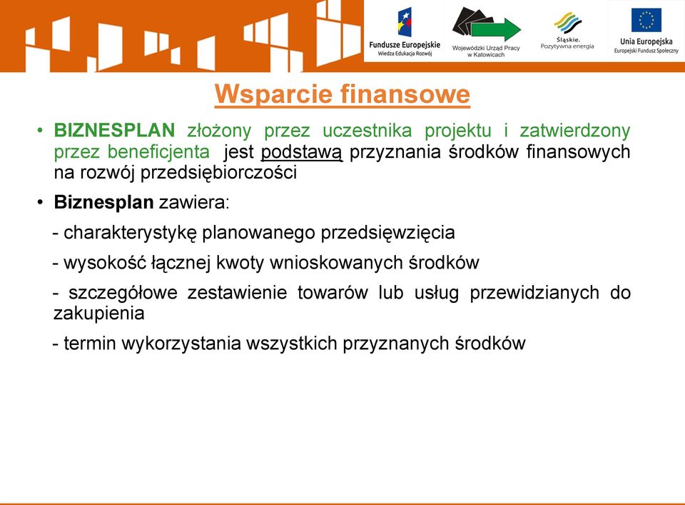 charakterystykę planowanego przedsięwzięcia - wysokość łącznej kwoty wnioskowanych środków -