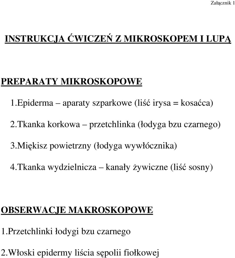 Tkanka korkowa przetchlinka (łodyga bzu czarnego) 3.Miękisz powietrzny (łodyga wywłócznika) 4.