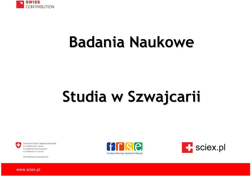 Studia w