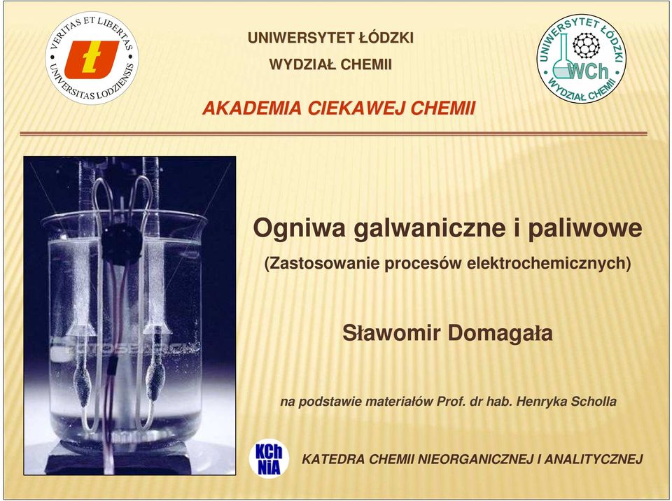 elektrochemicznych) Sławomir Domagała na podstawie materiałów