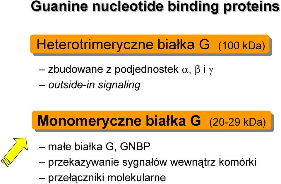 signaling Monomeryczne białka G (20-29 kda) małe białka G,