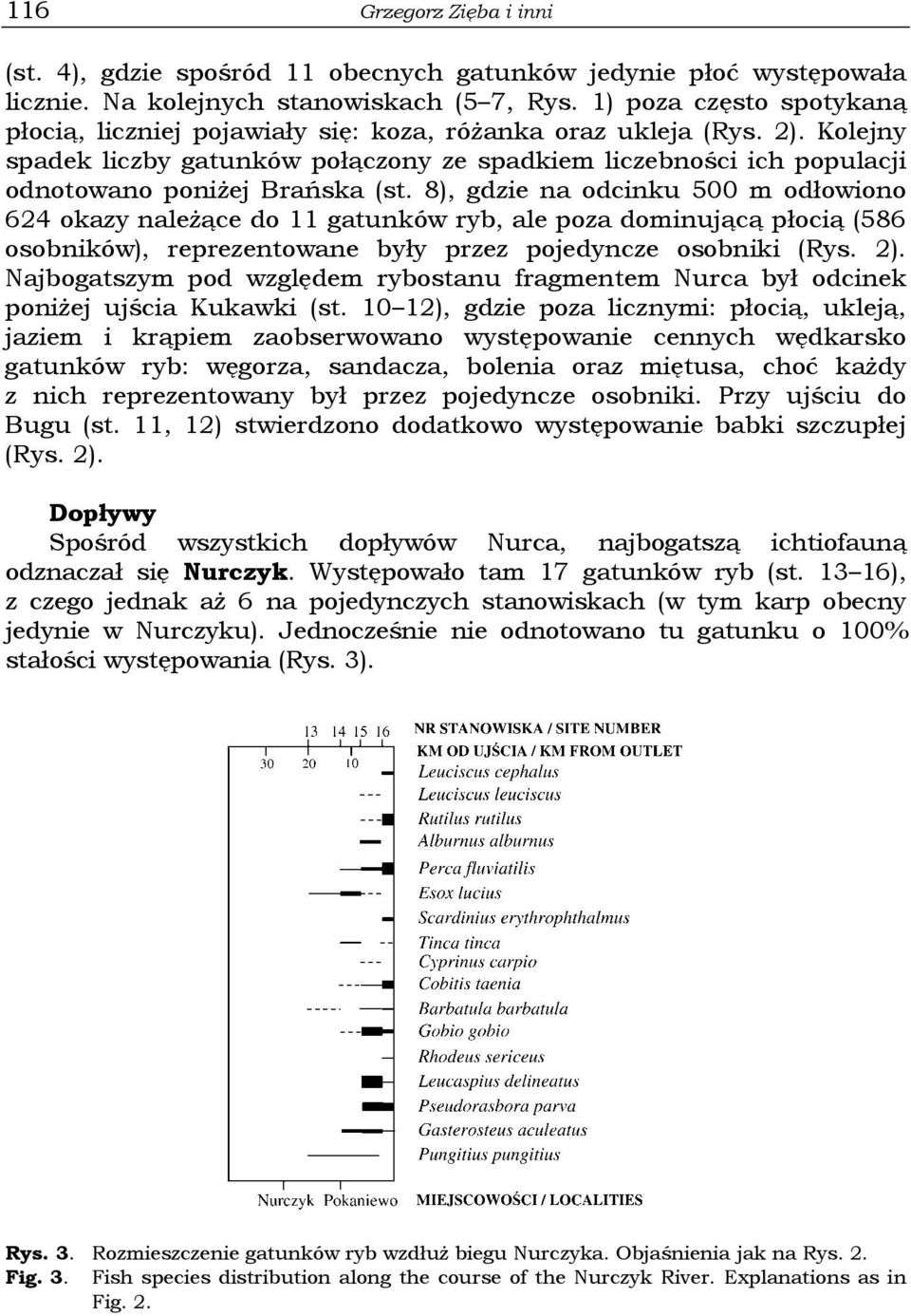 Kolejny spadek liczby gatunków połączony ze spadkiem liczebności ich populacji odnotowano poniżej Brańska (st.