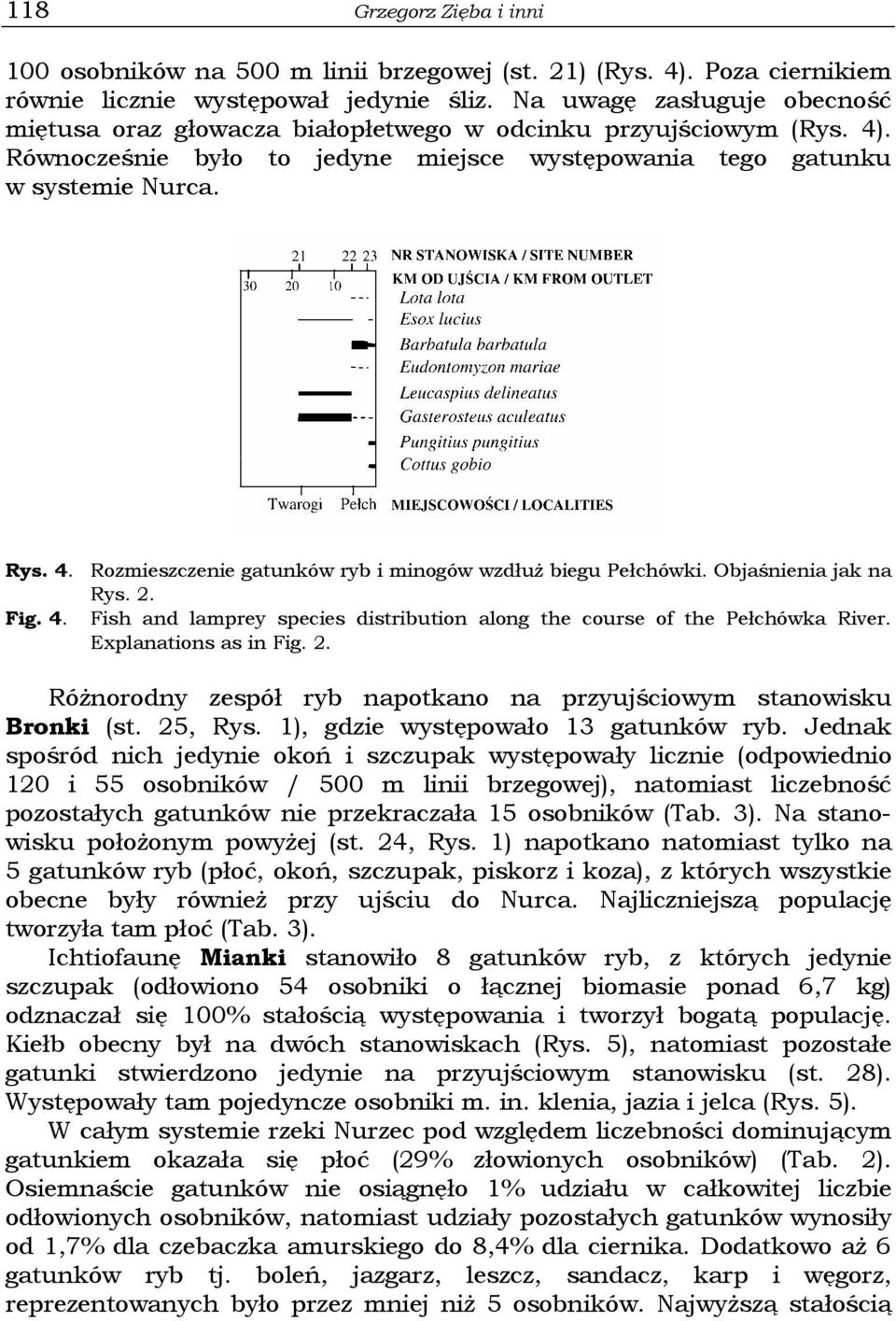 Objaśnienia jak na Rys. 2. Fig. 4. Fish and lamprey species distribution along the course of the Pełchówka River. Explanations as in Fig. 2. Różnorodny zespół ryb napotkano na przyujściowym stanowisku Bronki (st.