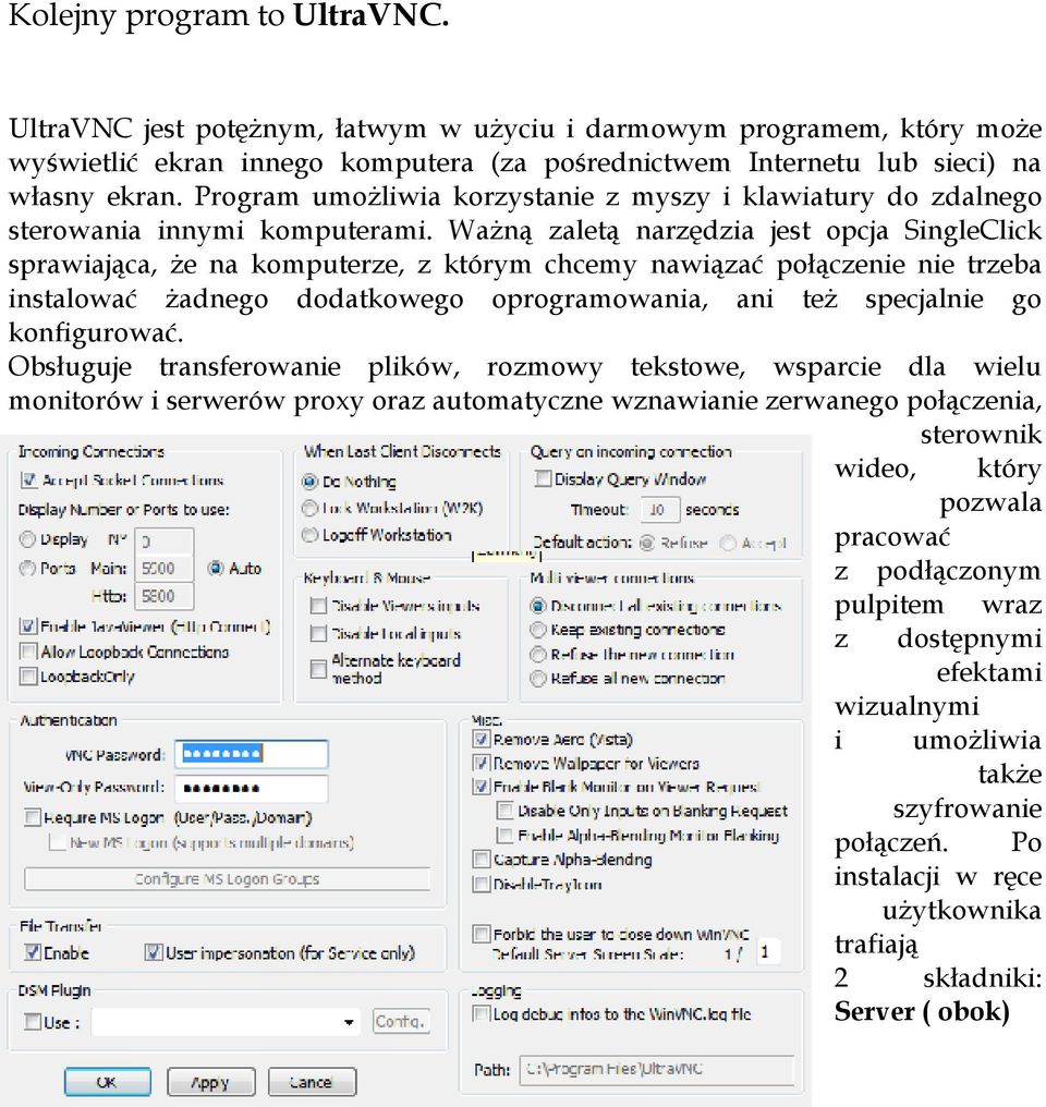 Ważną zaletą narzędzia jest opcja SingleClick sprawiająca, że na komputerze, z którym chcemy nawiązać połączenie nie trzeba instalować żadnego dodatkowego oprogramowania, ani też specjalnie go