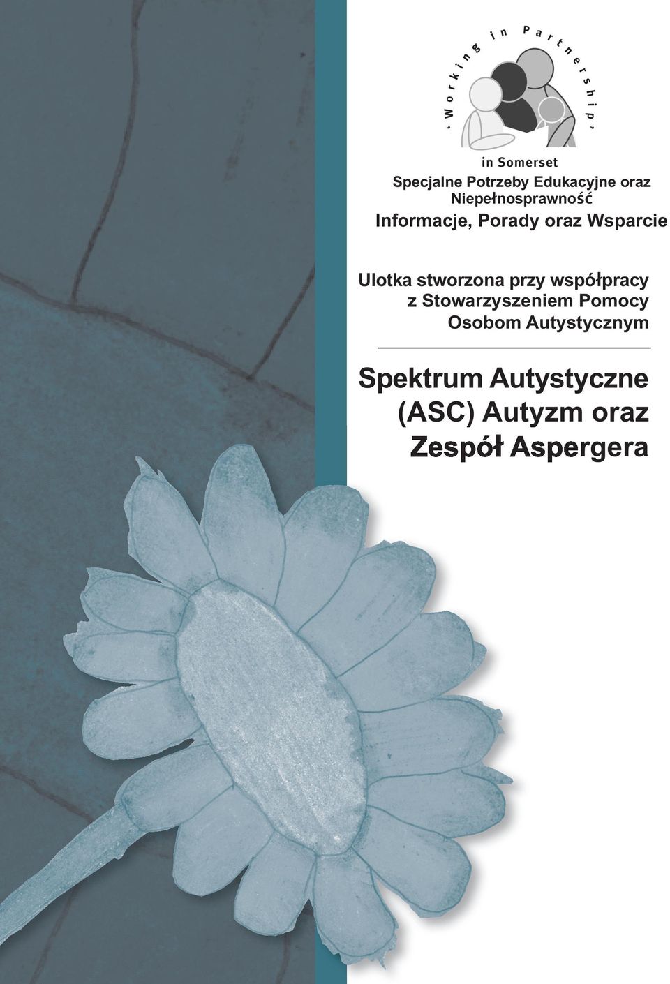 współpracy z Stowarzyszeniem Pomocy Osobom