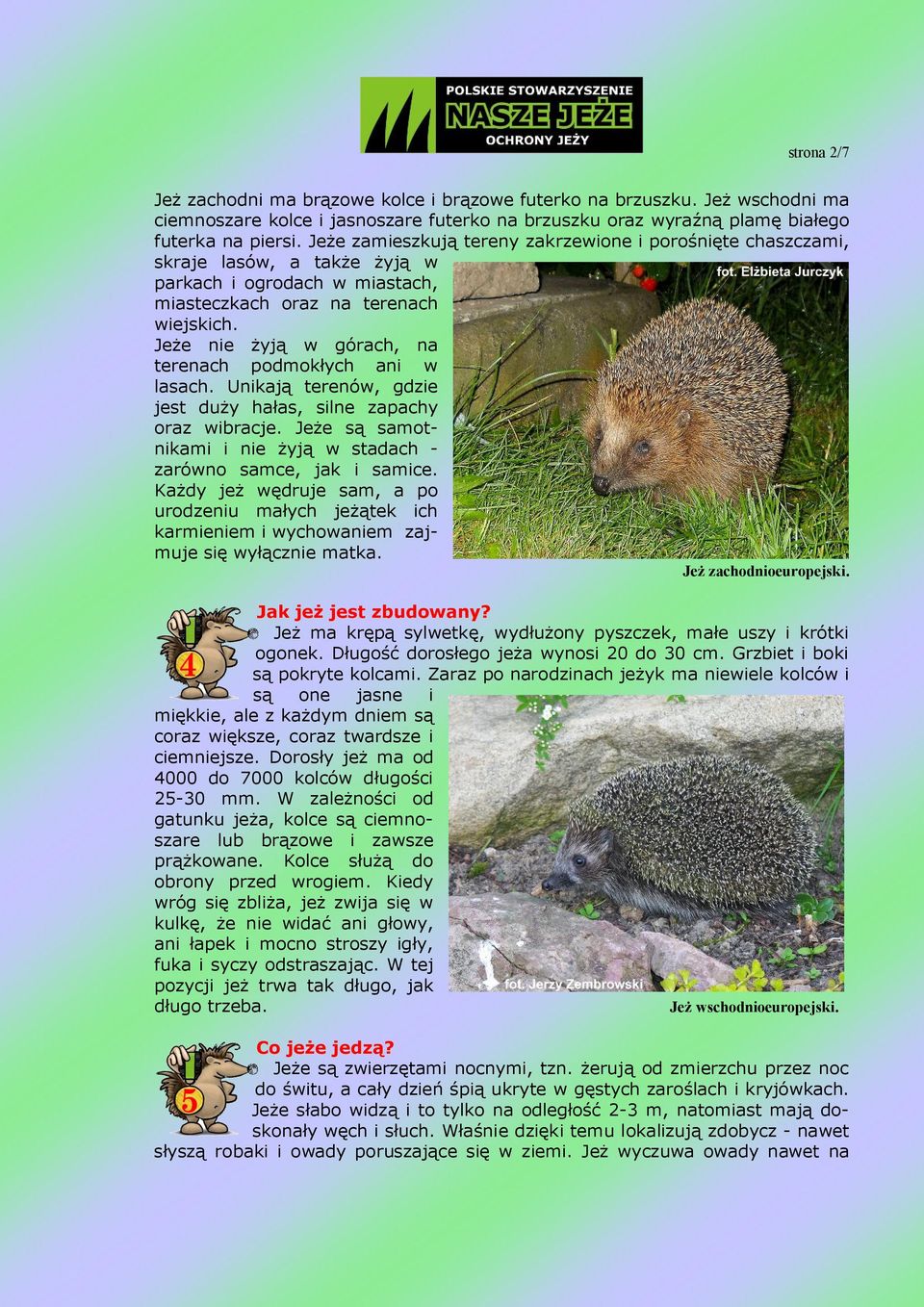 Jeże nie żyją w górach, na terenach podmokłych ani w lasach. Unikają terenów, gdzie jest duży hałas, silne zapachy oraz wibracje.