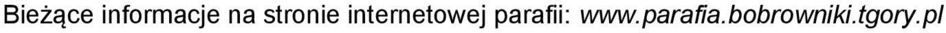 internetowej