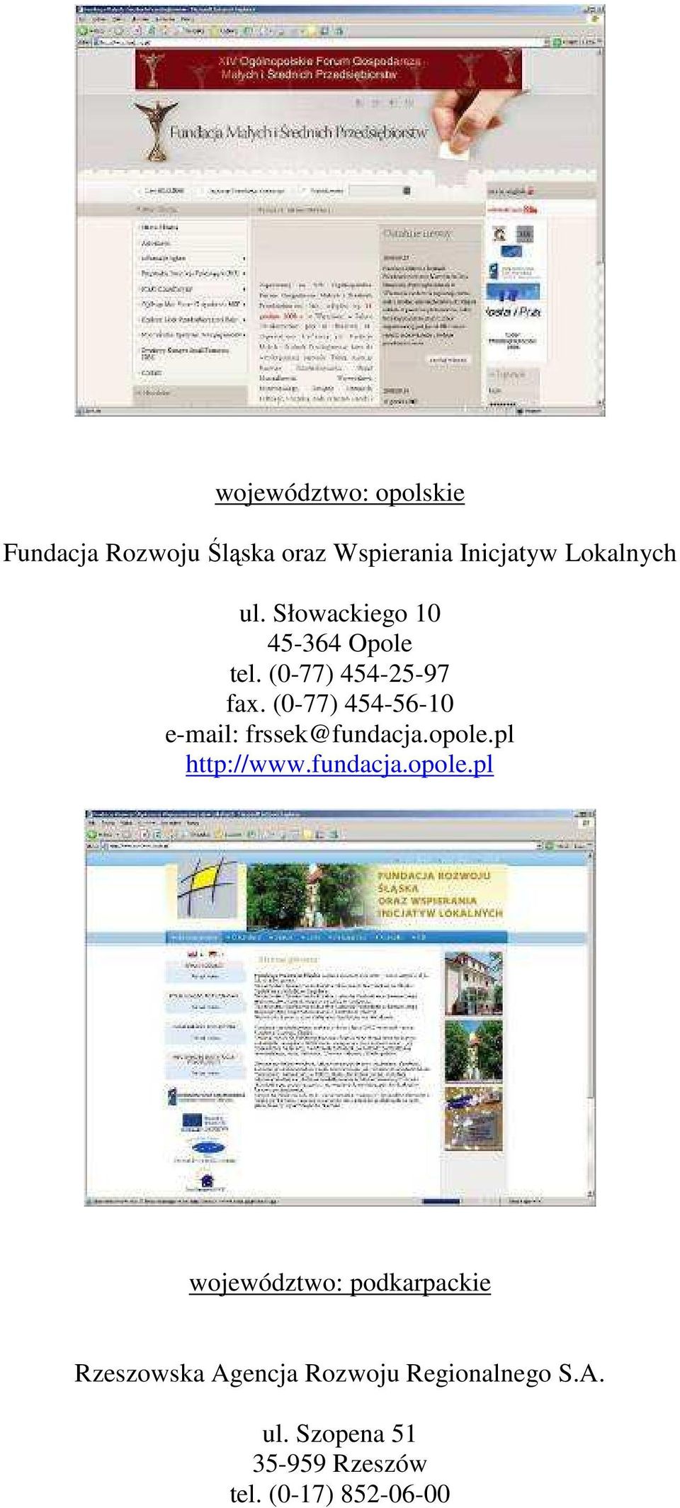 (0-77) 454-56-10 e-mail: frssek@fundacja.opole.