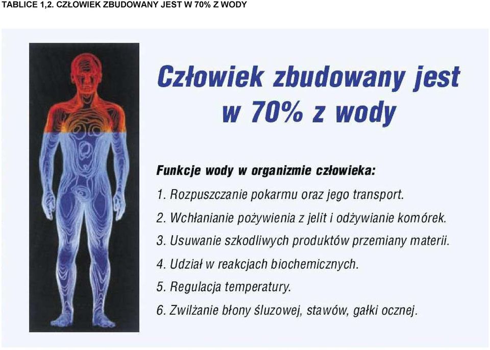 ZBUDOWANY