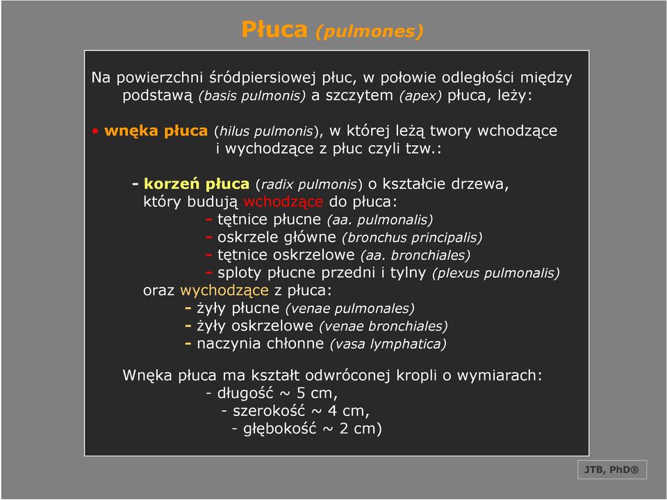 pulmonalis) - oskrzele główne (bronchus principalis) - tętnice oskrzelowe (aa.